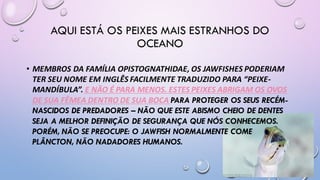 AQUI ESTÁ OS PEIXES MAIS ESTRANHOS DO
OCEANO
• MEMBROS DA FAMÍLIA OPISTOGNATHIDAE, OS JAWFISHES PODERIAM
TER SEU NOME EM INGLÊS FACILMENTE TRADUZIDO PARA “PEIXE-
MANDÍBULA”. E NÃO É PARA MENOS. ESTES PEIXES ABRIGAM OS OVOS
DE SUA FÊMEA DENTRO DE SUA BOCA PARA PROTEGER OS SEUS RECÉM-
NASCIDOS DE PREDADORES – NÃO QUE ESTE ABISMO CHEIO DE DENTES
SEJA A MELHOR DEFINIÇÃO DE SEGURANÇA QUE NÓS CONHECEMOS.
PORÉM, NÃO SE PREOCUPE: O JAWFISH NORMALMENTE COME
PLÂNCTON, NÃO NADADORES HUMANOS.
 