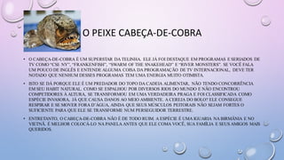 O PEIXE CABEÇA-DE-COBRA
• O CABEÇA-DE-COBRA É UM SUPERSTAR DA TELINHA. ELE JÁ FOI DESTAQUE EM PROGRAMAS E SERIADOS DE
TV COMO “CSI: NY”, “FRANKENFISH”, “SWARM OF THE SNAKEHEAD” E “RIVER MONSTERS”. SE VOCÊ FALA
UM POUCO DE INGLÊS E ENTENDE ALGUMA COISA DA PROGRAMAÇÃO DE TV INTERNACIONAL, DEVE TER
NOTADO QUE NENHUM DESSES PROGRAMAS TEM UMA ENERGIA MUITO OTIMISTA.
• ISTO SE DÁ PORQUE ELE É UM PREDADOR DO TOPO DA CADEIA ALIMENTAR, NÃO TENDO CONCORRÊNCIA
EM SEU HABIT NATURAL. COMO SE ESPALHOU POR DIVERSOS RIOS DO MUNDO E NÃO ENCONTROU
COMPETIDORES À ALTURA, SE TRANSFORMOU EM UMA VERDADEIRA PRAGA E FOI CLASSIFICADA COMO
ESPÉCIE INVASORA, JÁ QUE CAUSA DANOS AO MEIO AMBIENTE. A CEREJA DO BOLO? ELE CONSEGUE
RESPIRAR E SE MOVER FORA D’ÁGUA, AINDA QUE SEUS MÚSCULOS PEITORAIS NÃO SEJAM FORTES O
SUFICIENTE PARA QUE ELE SE TRANSFORME NUM PERSEGUIDOR TERRESTRE.
• ENTRETANTO, O CABEÇA-DE-COBRA NÃO É DE TODO RUIM. A ESPÉCIE É UMA IGUARIA NA BIRMÂNIA E NO
VIETNÃ. É MELHOR COLOCÁ-LO NA PANELA ANTES QUE ELE COMA VOCÊ, SUA FAMÍLIA E SEUS AMIGOS MAIS
QUERIDOS.
 