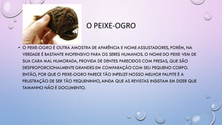 O PEIXE-OGRO
• O PEIXE-OGRO É OUTRA AMOSTRA DE APARÊNCIA E NOME ASSUSTADORES, PORÉM, NA
VERDADE É BASTANTE INOFENSIVO PARA OS SERES HUMANOS. O NOME DO PEIXE VEM DE
SUA CARA MAL HUMORADA, PROVIDA DE DENTES PARECIDOS COM PRESAS, QUE SÃO
DESPROPORCIONALMENTE GRANDES EM COMPARAÇÃO COM SEU PEQUENO CORPO.
ENTÃO, POR QUE O PEIXE-OGRO PARECE TÃO INFELIZ? NOSSO MELHOR PALPITE É A
FRUSTRAÇÃO DE SER TÃO PEQUENINHO, AINDA QUE AS REVISTAS INSISTAM EM DIZER QUE
TAMANHO NÃO É DOCUMENTO.
 