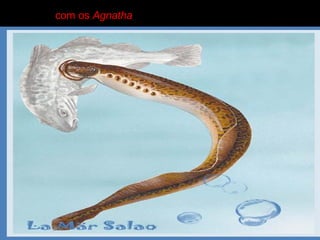 com os Agnatha
 