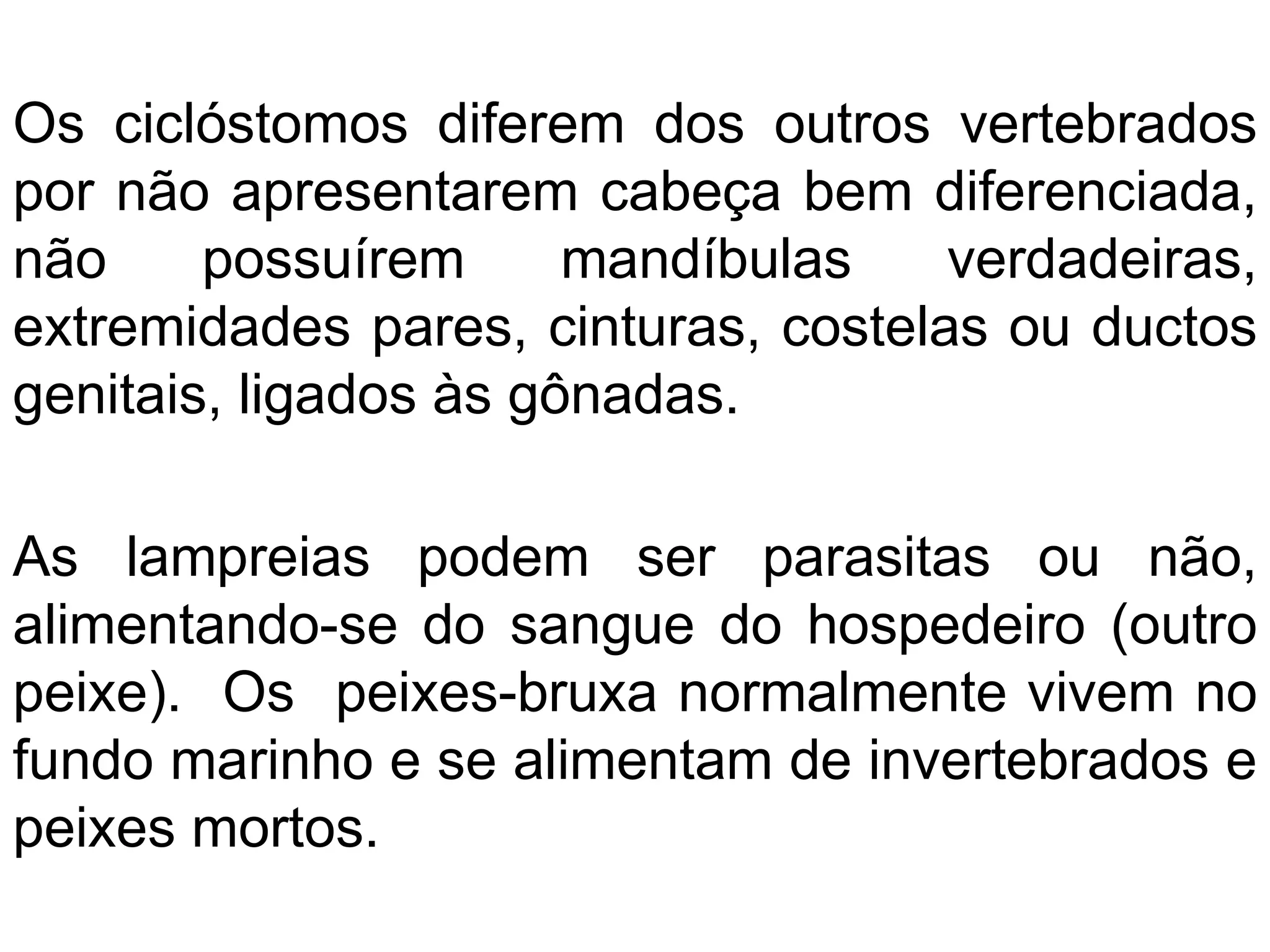 Os ciclóstomos diferem dos outros vertebrados
por não apresentarem cabeça bem diferenciada,
não possuírem mandíbulas verdadeiras,
extremidades pares, cinturas, costelas ou ductos
genitais, ligados às gônadas.
As lampreias podem ser parasitas ou não,
alimentando-se do sangue do hospedeiro (outro
peixe). Os peixes-bruxa normalmente vivem no
fundo marinho e se alimentam de invertebrados e
peixes mortos.
 