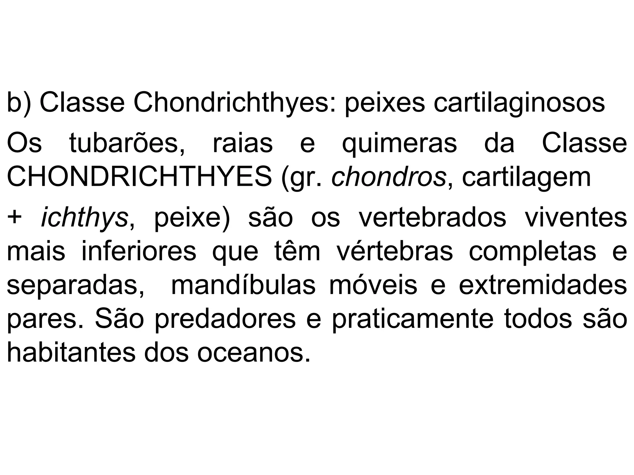 b) Classe Chondrichthyes: peixes cartilaginosos
Os tubarões, raias e quimeras da Classe
CHONDRICHTHYES (gr. chondros, cartilagem
+ ichthys, peixe) são os vertebrados viventes
mais inferiores que têm vértebras completas e
separadas, mandíbulas móveis e extremidades
pares. São predadores e praticamente todos são
habitantes dos oceanos.
 