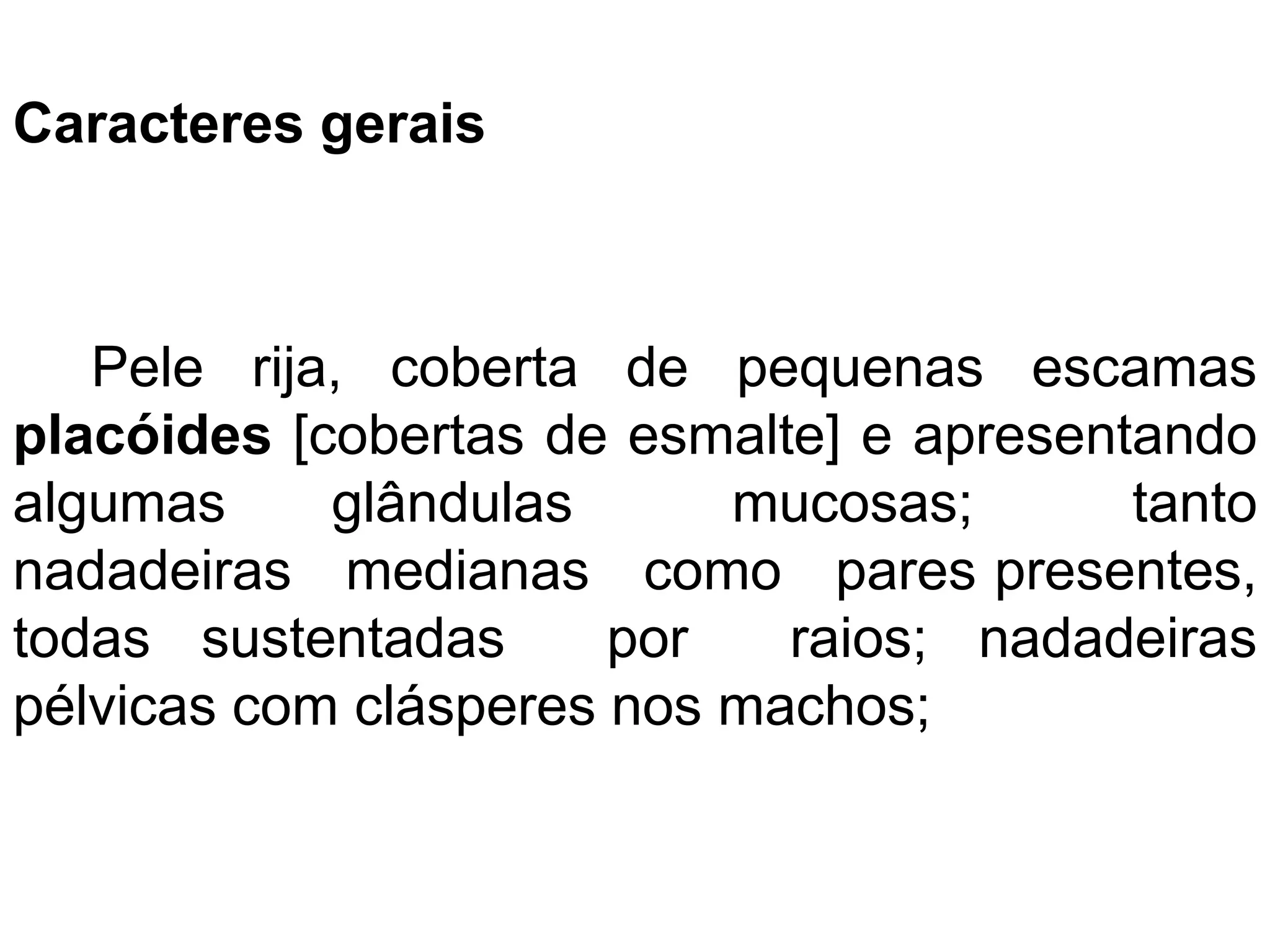 Caracteres gerais
Pele rija, coberta de pequenas escamas
placóides [cobertas de esmalte] e apresentando
algumas glândulas mucosas; tanto
nadadeiras medianas como pares presentes,
todas sustentadas por raios; nadadeiras
pélvicas com clásperes nos machos;
 