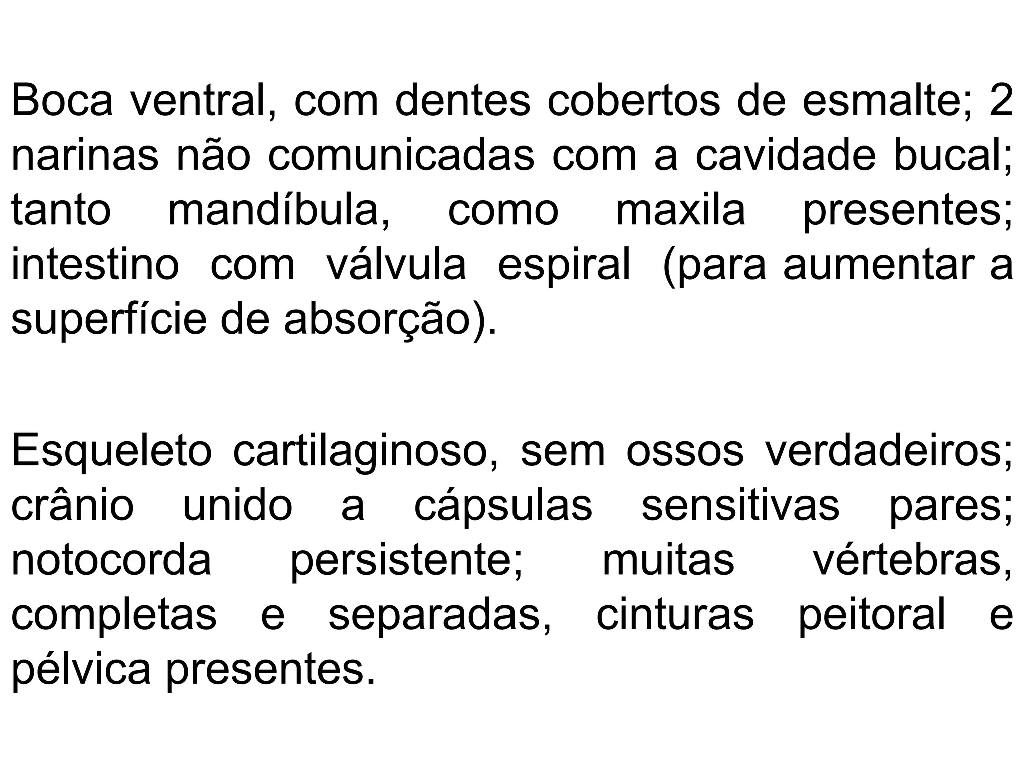 Boca ventral, com dentes cobertos de esmalte; 2
narinas não comunicadas com a cavidade bucal;
tanto mandíbula, como maxila presentes;
intestino com válvula espiral (para aumentar a
superfície de absorção).
Esqueleto cartilaginoso, sem ossos verdadeiros;
crânio unido a cápsulas sensitivas pares;
notocorda persistente; muitas vértebras,
completas e separadas, cinturas peitoral e
pélvica presentes.
 