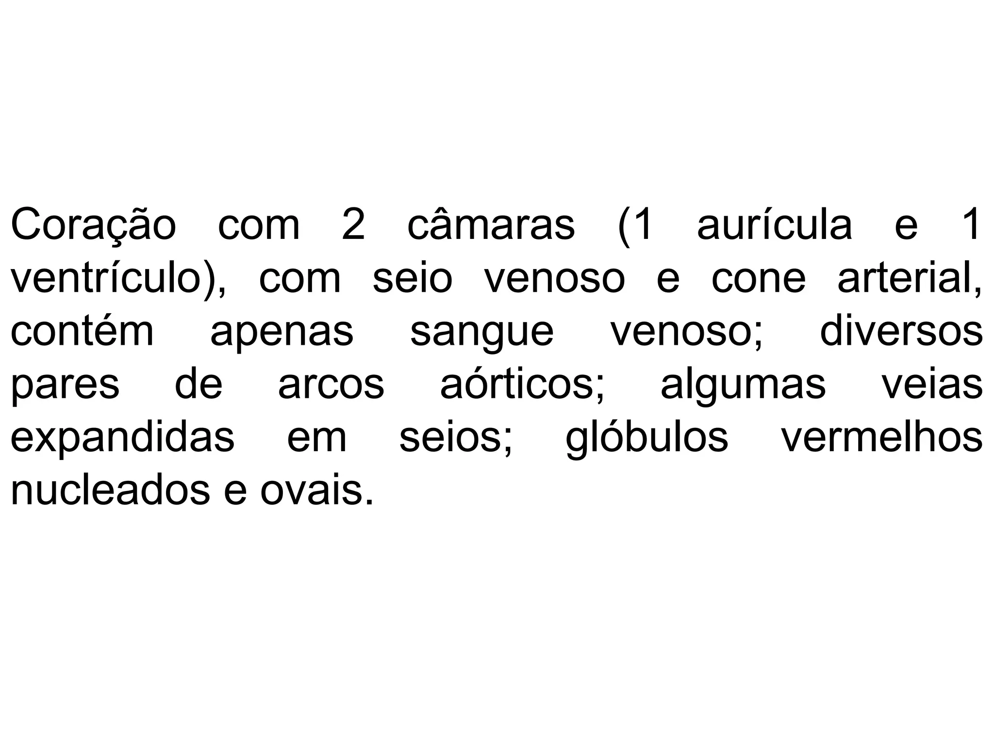 Coração com 2 câmaras (1 aurícula e 1
ventrículo), com seio venoso e cone arterial,
contém apenas sangue venoso; diversos
pares de arcos aórticos; algumas veias
expandidas em seios; glóbulos vermelhos
nucleados e ovais.
 