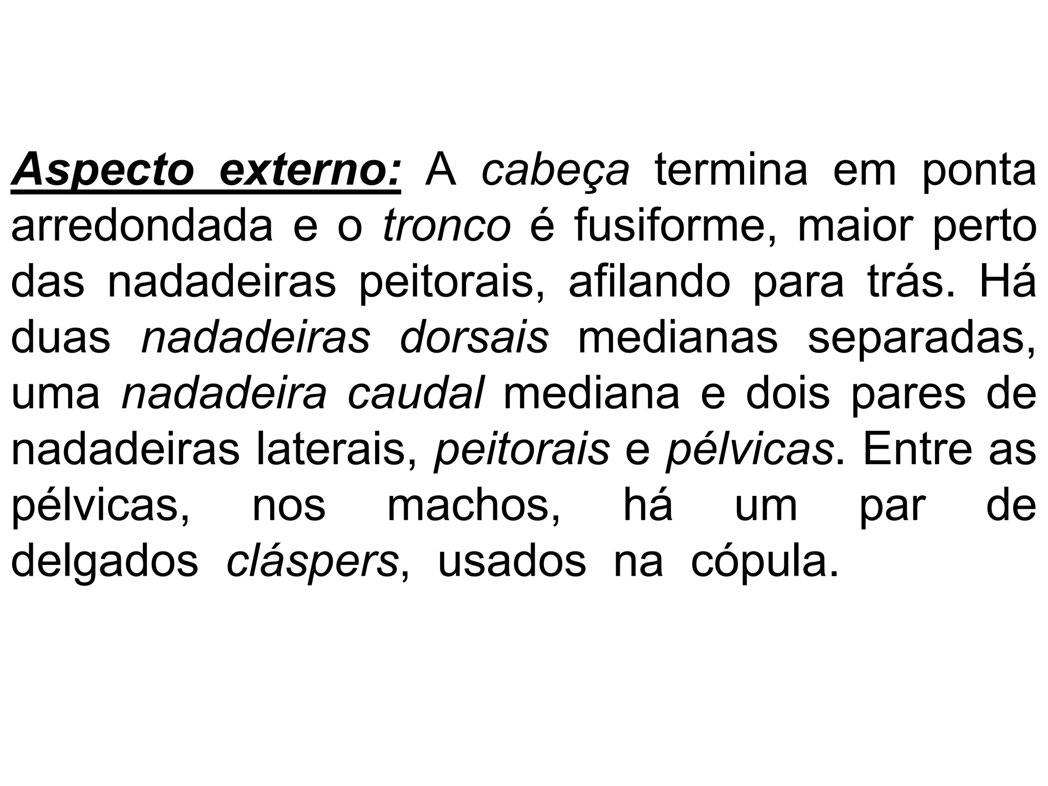 Aspecto externo: A cabeça termina em ponta
arredondada e o tronco é fusiforme, maior perto
das nadadeiras peitorais, afilando para trás. Há
duas nadadeiras dorsais medianas separadas,
uma nadadeira caudal mediana e dois pares de
nadadeiras laterais, peitorais e pélvicas. Entre as
pélvicas, nos machos, há um par de
delgados cláspers, usados na cópula.
 