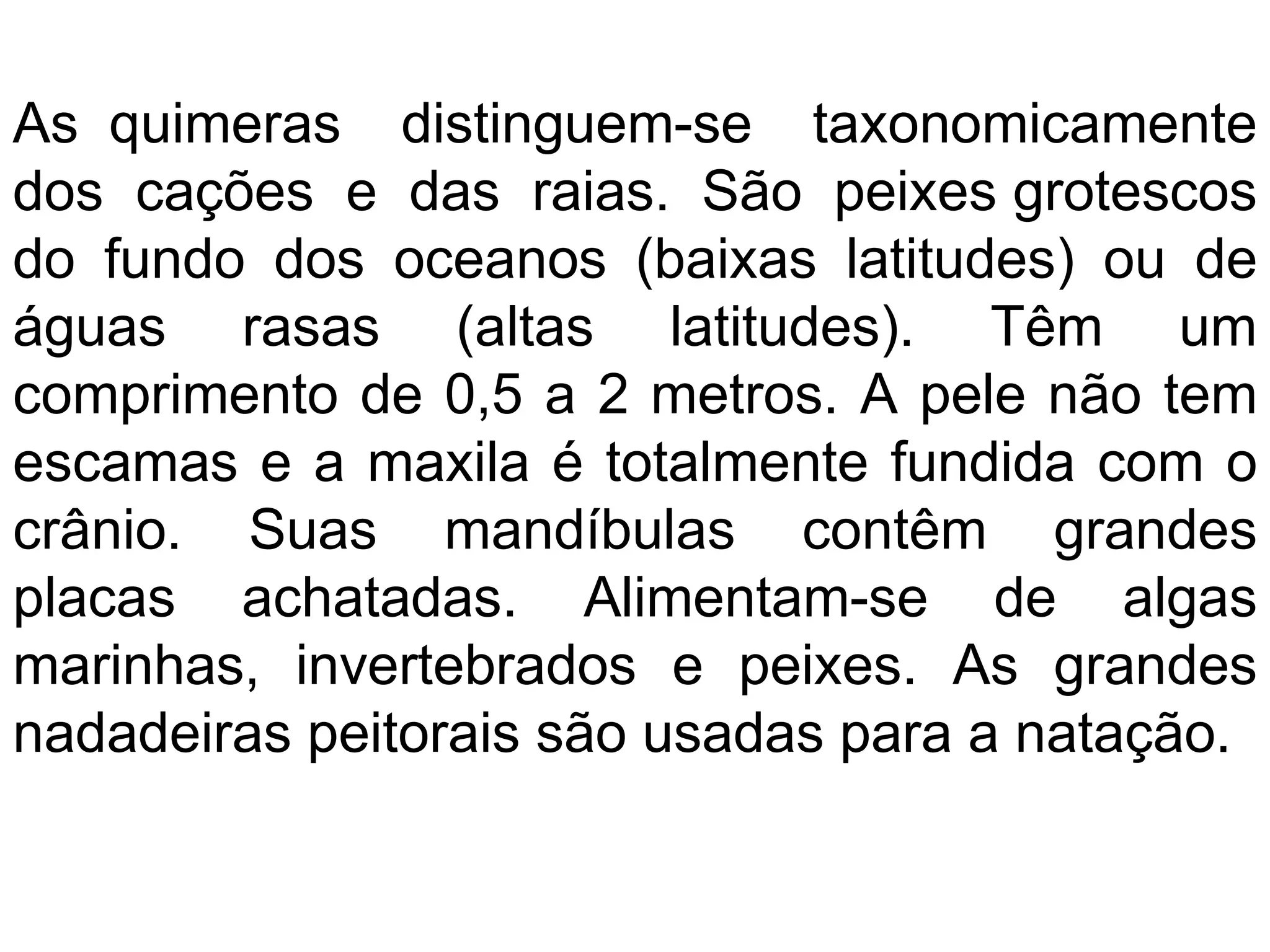 As quimeras distinguem-se taxonomicamente
dos cações e das raias. São peixes grotescos
do fundo dos oceanos (baixas latitudes) ou de
águas rasas (altas latitudes). Têm um
comprimento de 0,5 a 2 metros. A pele não tem
escamas e a maxila é totalmente fundida com o
crânio. Suas mandíbulas contêm grandes
placas achatadas. Alimentam-se de algas
marinhas, invertebrados e peixes. As grandes
nadadeiras peitorais são usadas para a natação.
 