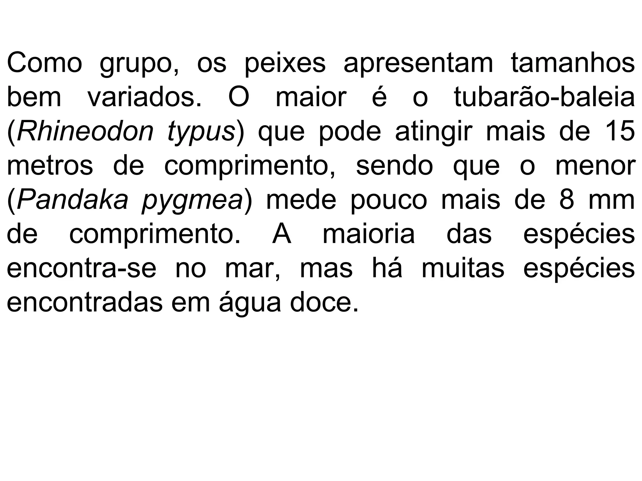 Como grupo, os peixes apresentam tamanhos
bem variados. O maior é o tubarão-baleia
(Rhineodon typus) que pode atingir mais de 15
metros de comprimento, sendo que o menor
(Pandaka pygmea) mede pouco mais de 8 mm
de comprimento. A maioria das espécies
encontra-se no mar, mas há muitas espécies
encontradas em água doce.
 