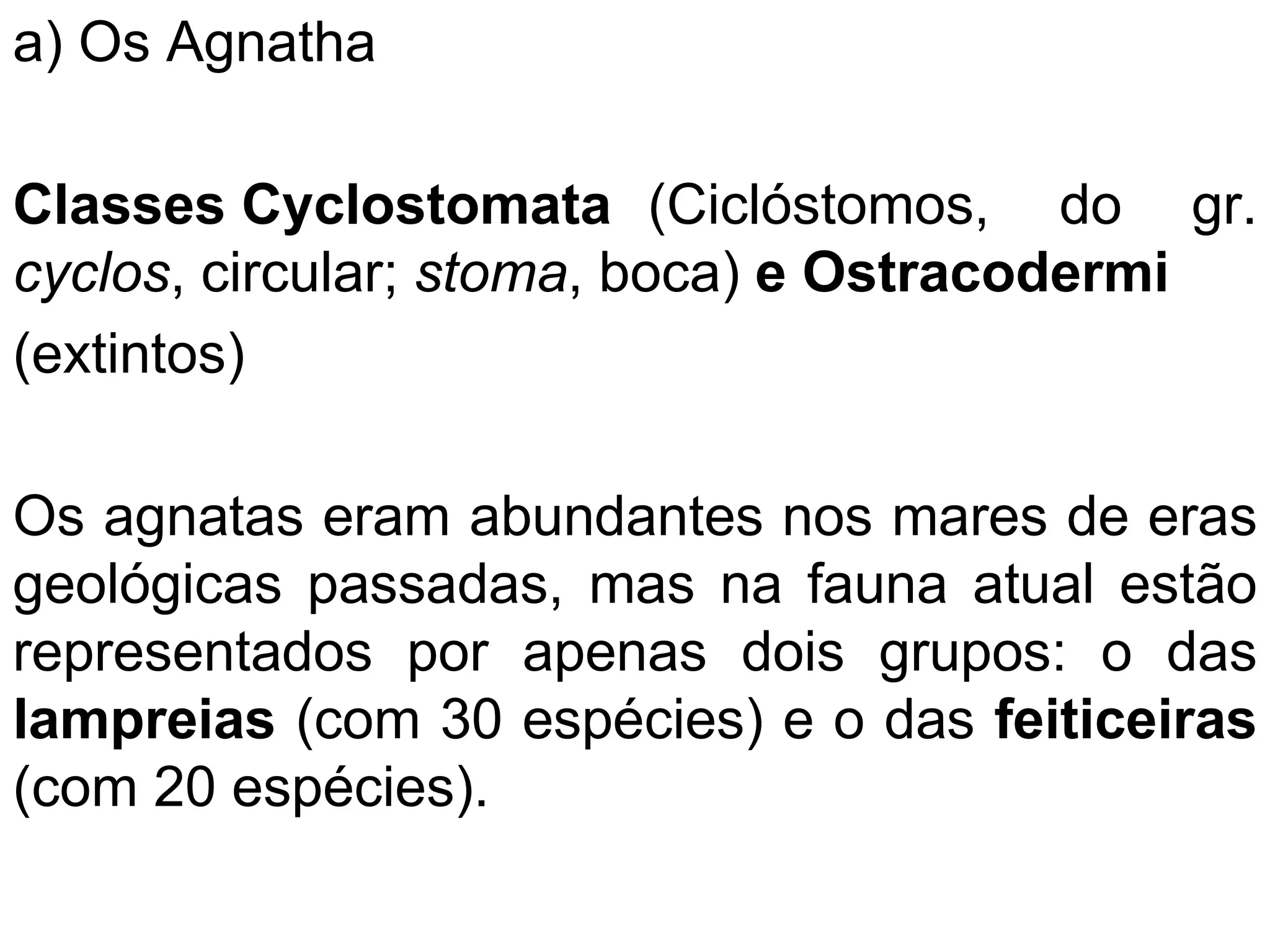 a) Os Agnatha
Classes Cyclostomata (Ciclóstomos, do gr.
cyclos, circular; stoma, boca) e Ostracodermi
(extintos)
Os agnatas eram abundantes nos mares de eras
geológicas passadas, mas na fauna atual estão
representados por apenas dois grupos: o das
lampreias (com 30 espécies) e o das feiticeiras
(com 20 espécies).
 