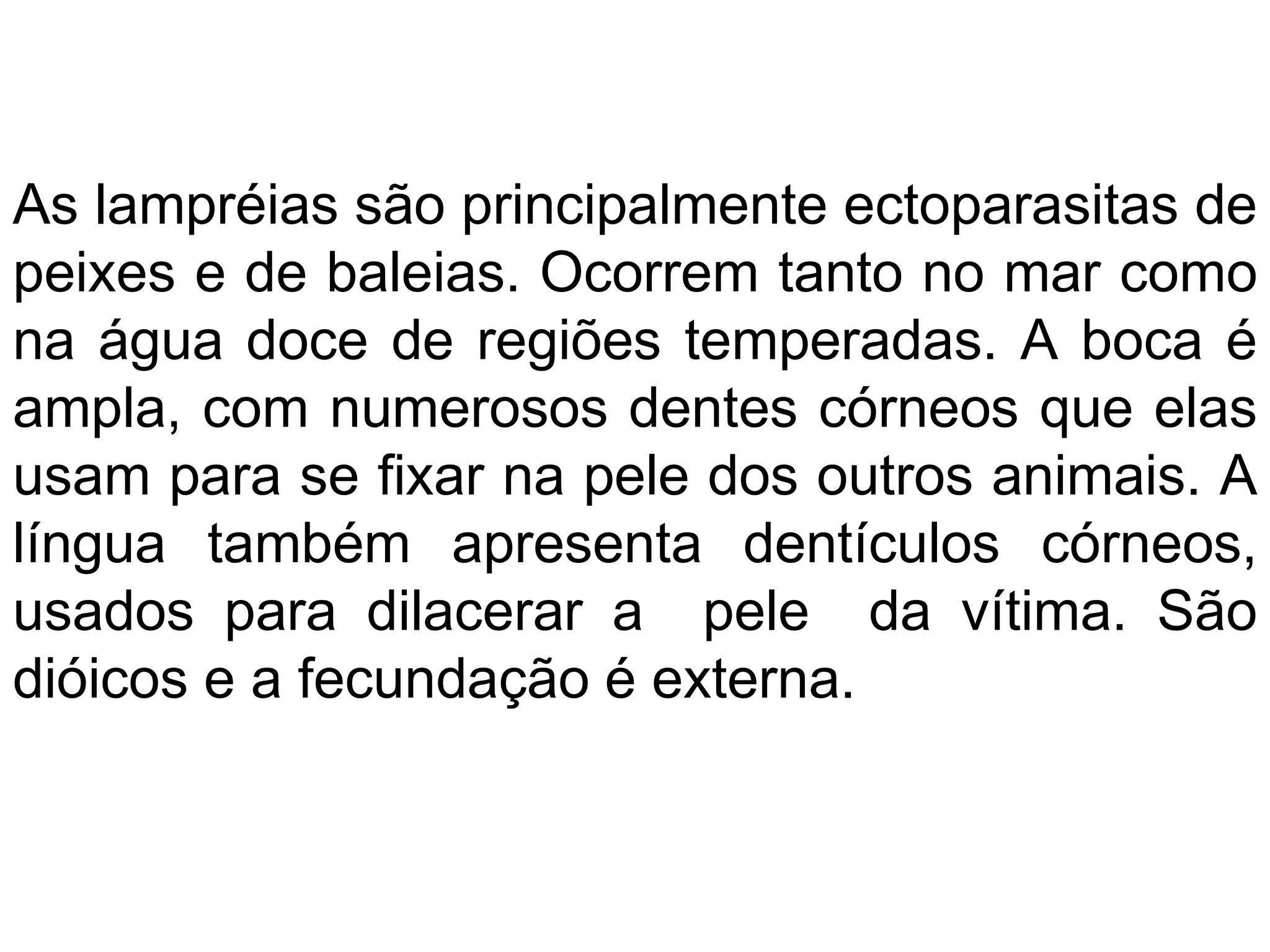 As lampréias são principalmente ectoparasitas de
peixes e de baleias. Ocorrem tanto no mar como
na água doce de regiões temperadas. A boca é
ampla, com numerosos dentes córneos que elas
usam para se fixar na pele dos outros animais. A
língua também apresenta dentículos córneos,
usados para dilacerar a pele da vítima. São
dióicos e a fecundação é externa.
 