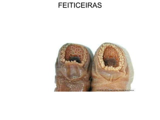 FEITICEIRAS
 