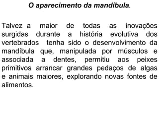 O aparecimento da mandíbula.
Talvez a maior de todas as inovações
surgidas durante a história evolutiva dos
vertebrados tenha sido o desenvolvimento da
mandíbula que, manipulada por músculos e
associada a dentes, permitiu aos peixes
primitivos arrancar grandes pedaços de algas
e animais maiores, explorando novas fontes de
alimentos.
 