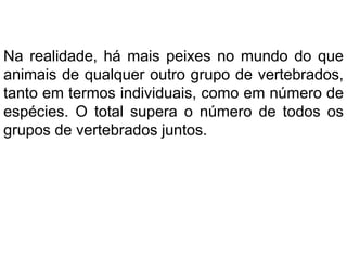 Na realidade, há mais peixes no mundo do que
animais de qualquer outro grupo de vertebrados,
tanto em termos individuais, como em número de
espécies. O total supera o número de todos os
grupos de vertebrados juntos.
 