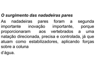 O surgimento das nadadeiras pares
As nadadeiras pares foram a segunda
importante inovação importante, porque
proporcionaram aos vertebrados a uma
natação direcionada, precisa e controlada, já que
atuam como estabilizadores, aplicando forças
sobre a coluna
d’água.
 