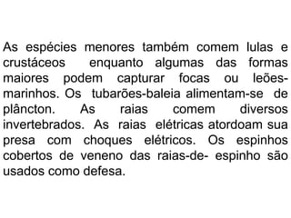 As espécies menores também comem lulas e
crustáceos enquanto algumas das formas
maiores podem capturar focas ou leões-
marinhos. Os tubarões-baleia alimentam-se de
plâncton. As raias comem diversos
invertebrados. As raias elétricas atordoam sua
presa com choques elétricos. Os espinhos
cobertos de veneno das raias-de- espinho são
usados como defesa.
 