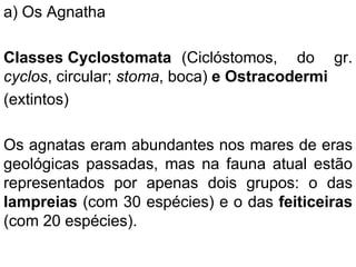 a) Os Agnatha
Classes Cyclostomata (Ciclóstomos, do gr.
cyclos, circular; stoma, boca) e Ostracodermi
(extintos)
Os agnatas eram abundantes nos mares de eras
geológicas passadas, mas na fauna atual estão
representados por apenas dois grupos: o das
lampreias (com 30 espécies) e o das feiticeiras
(com 20 espécies).
 