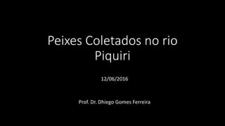 Peixes Coletados no rio
Piquiri
12/06/2016
Prof. Dr. Dhiego Gomes Ferreira
 