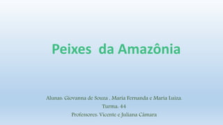 Peixes da Amazônia
Alunas: Giovanna de Souza , Maria Fernanda e Maria Luiza.
Turma: 44
Professores: Vicente e Juliana Câmara
 