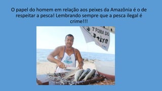 O papel do homem em relação aos peixes da Amazônia é o de
respeitar a pesca! Lembrando sempre que a pesca ilegal é
crime!!!
 