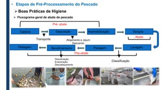 Captura Depuração Insensibilização Sangria
Pré- abate
Abate
Pós-abate
Lavagem
Pesagem
Alojamento e Jejum
Descanso
Transporte
 Fluxograma geral de abate de pescado
• Etapas de Pré-Processamento do Pescado
Beneficiamento
Descamação,
Evisceração,
Descabeçamento
Filetagem
Classificação
Boas Práticas de Higiene
 