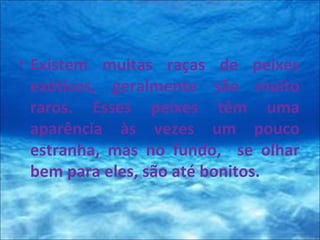 • Existem muitas raças de peixes
exóticos, geralmente são muito
raros. Esses peixes têm uma
aparência às vezes um pouco
estranha, mas no fundo, se olhar
bem para eles, são até bonitos.
 