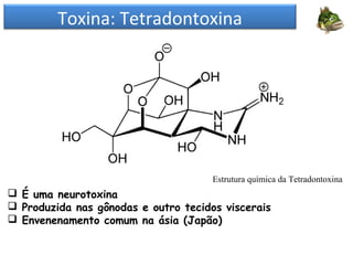 Toxina: Tetradontoxina
Estrutura química da Tetradontoxina
 É uma neurotoxina
 Produzida nas gônodas e outro tecidos viscerais
 Envenenamento comum na ásia (Japão)
 