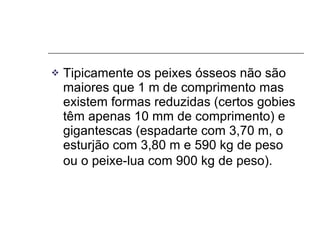 Tipicamente os peixes ósseos não são maiores que 1 m de comprimento mas existem formas reduzidas (certos gobies têm apenas 10 mm de comprimento) e gigantescas (espadarte com 3,70 m, o esturjão com 3,80 m e 590 kg de peso ou o peixe-lua com 900 kg de peso).   
