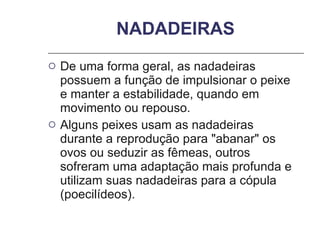 NADADEIRAS De uma forma geral, as nadadeiras possuem a função de impulsionar o peixe e manter a estabilidade, quando em movimento ou repouso.  Alguns peixes usam as nadadeiras durante a reprodução para "abanar" os ovos ou seduzir as fêmeas, outros sofreram uma adaptação mais profunda e utilizam suas nadadeiras para a cópula (poecilídeos). 