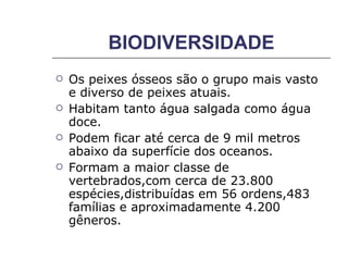 BIODIVERSIDADE Os peixes ósseos são o grupo mais vasto e diverso de peixes atuais. Habitam tanto água salgada como água doce. Podem ficar até cerca de 9 mil metros abaixo da superfície dos oceanos.  Formam a maior classe de vertebrados,com cerca de 23.800 espécies,distribuídas em 56 ordens,483 famílias e aproximadamente 4.200 gêneros. 