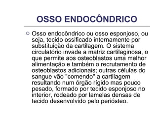 OSSO ENDOCÔNDRICO Osso endocôndrico ou osso esponjoso, ou seja, tecido ossificado internamente por substituição da cartilagem. O sistema circulatório invade a matriz cartilaginosa, o que permite aos osteoblastos uma melhor alimentação e também o recrutamento de osteoblastos adicionais; outras células do sangue vão "comendo" a cartilagem resultando num órgão rígido mas pouco pesado, formado por tecido esponjoso no interior, rodeado por lamelas densas de tecido desenvolvido pelo periósteo. 