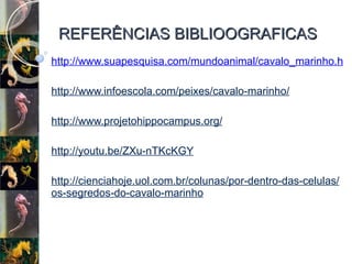 REFERÊNCIAS BIBLIOOGRAFICAS http://www.suapesquisa.com/mundoanimal/cavalo_marinho.htm http://www.infoescola.com/peixes/cavalo-marinho/ http://www.projetohippocampus.org/ http://youtu.be/ZXu-nTKcKGY http://cienciahoje.uol.com.br/colunas/por-dentro-das-celulas/os-segredos-do-cavalo-marinho   