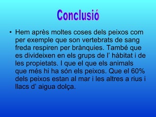 Hem après moltes coses dels peixos com per exemple que son vertebrats de sang  freda respiren per brànquies. També que es divideixen en els grups de l’ hàbitat i de les propietats. I que el que els animals que més hi ha són els peixos. Que el 60% dels peixos estan al mar i les altres a rius i llacs d’ aigua dolça. Conclusió 