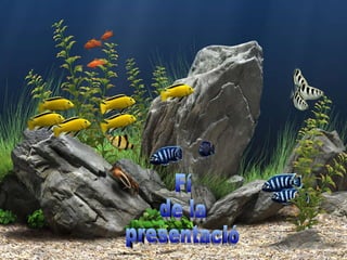 Fí  de la  presentació 