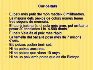 Curiositats El peix més petit del món medeix 8 milílmetres. La majoria dels peixos de colors només tenen tres segons de memòria. El tauró balena és el peix més gran, pot arribar a pesar 20 tonelades i té  4.500 dents. El peix Vela és el peix més ràpid. La famella del bacallà posa més de 7 milions d’ous. Els peixos poden tenir set. Hi ha peixos xerraires. Hi ha peixos que viuen 10 anys. Hi ha un peix amb potes que es diu Biotopo. 