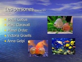 Les persones........ Belén Gatius Marc Claravall Manel Ordaz Victoria Graells Anna Gelpí 