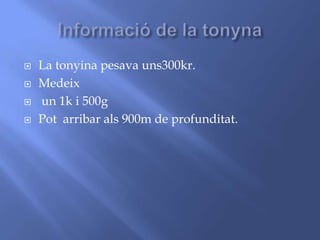  La tonyina pesava uns300kr.
 Medeix
 un 1k i 500g
 Pot arribar als 900m de profunditat.
 