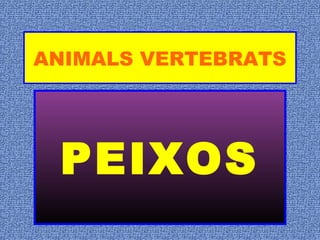 ANIMALS VERTEBRATS
PEIXOS
 