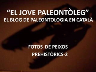 “EL JOVE PALEONTÒLEG”
EL BLOG DE PALEONTOLOGIA EN CATALÀ
FOTOS DE PEIXOS
PREHISTÒRICS-2
 