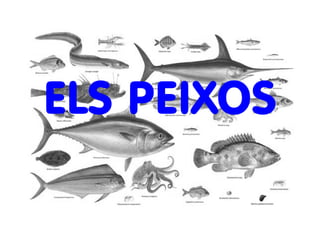 ELS PEIXOS 
 
