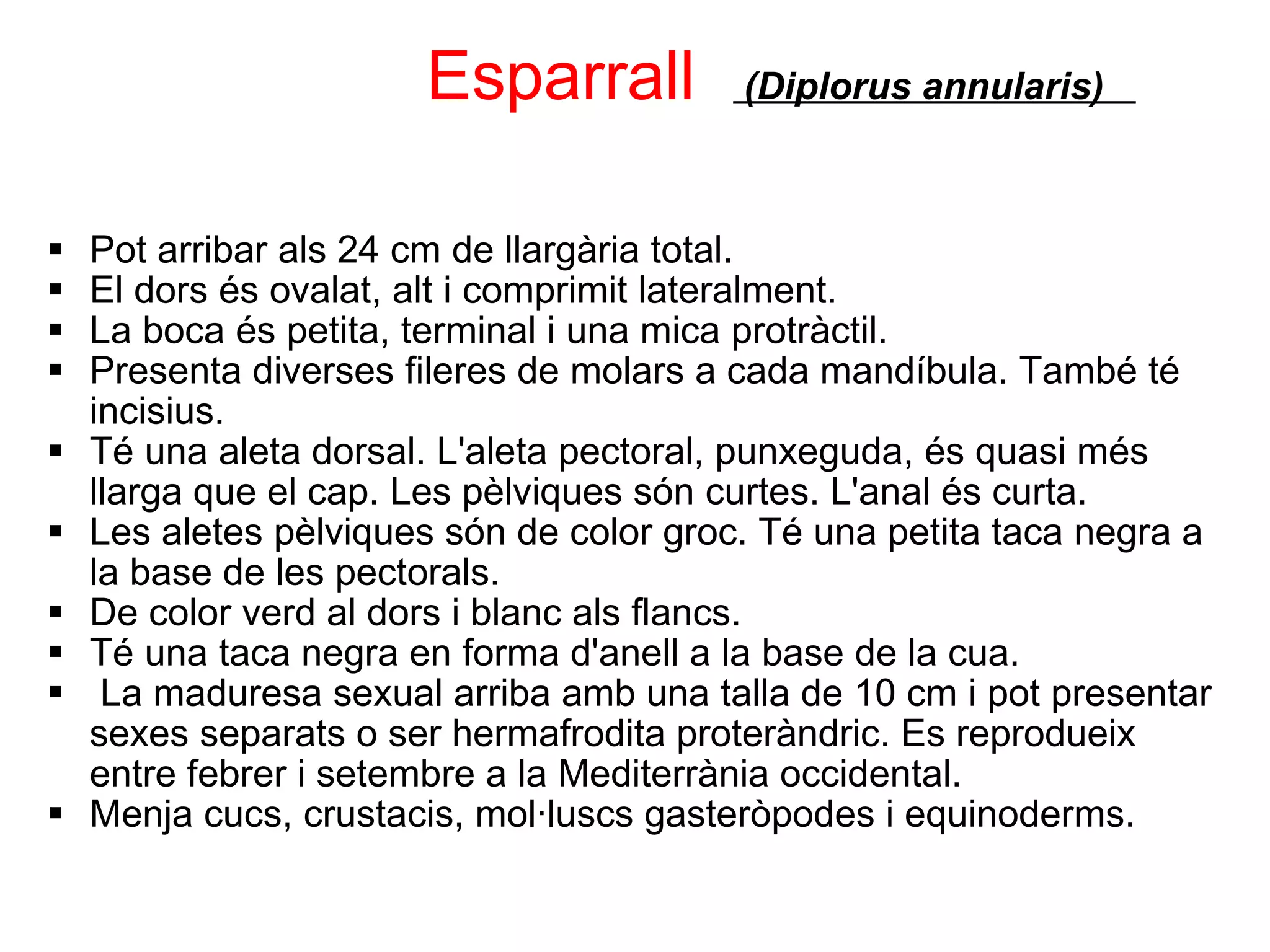                      Esparrall    (Diplorus annularis)    Pot arribar als 24 cm de llargària total. El dors és ovalat, alt i comprimit lateralment. La boca és petita, terminal i una mica protràctil. Presenta diverses fileres de molars a cada mandíbula. També té incisius. Té una aleta dorsal. L'aleta pectoral, punxeguda, és quasi més llarga que el cap. Les pèlviques són curtes. L'anal és curta. Les aletes pèlviques són de color groc. Té una petita taca negra a la base de les pectorals. De color verd al dors i blanc als flancs. Té una taca negra en forma d'anell a la base de la cua.   La maduresa sexual arriba amb una talla de 10 cm i pot presentar sexes separats o ser hermafrodita proteràndric. Es reprodueix entre febrer i setembre a la Mediterrània occidental. Menja cucs, crustacis, mol·luscs gasteròpodes i equinoderms. 