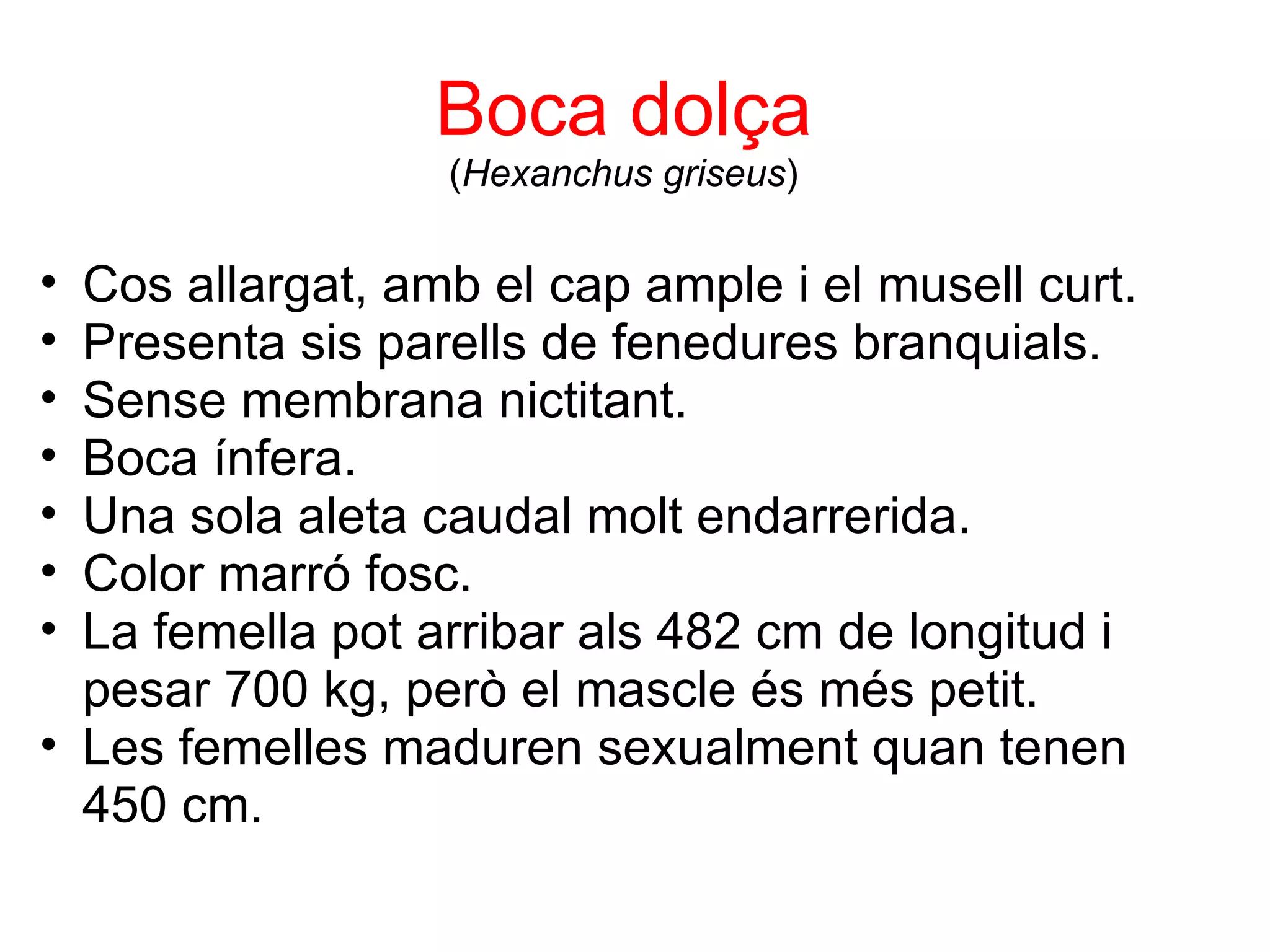Cos allargat, amb el cap ample i el musell curt. Presenta sis parells de fenedures branquials. Sense membrana nictitant. Boca ínfera. Una sola aleta caudal molt endarrerida. Color marró fosc. La femella pot arribar als 482 cm de longitud i pesar 700 kg, però el mascle és més petit. Les femelles maduren sexualment quan tenen 450 cm. Boca dolça ( Hexanchus griseus ) 