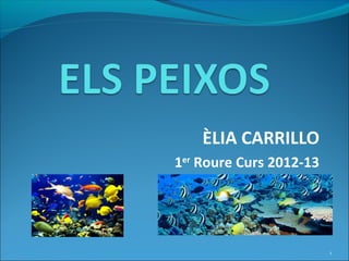 ÈLIA CARRILLO
1er Roure Curs 2012-13




                         1
 