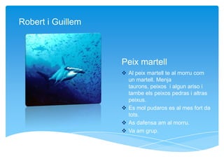 Peix martell
 Al peix martell te al morru com
un martell. Menja
taurons, peixos i algun ariso i
tambe els peixos pedras i altras
peixus.
 Es mol pudaros es al mes fort da
tots.
 As dafensa am al morru.
 Va am grup.
Robert i Guillem
 
