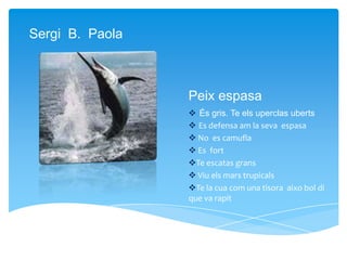 Peix espasa
 És gris. Te els uperclas uberts
 Es defensa am la seva espasa
 No es camufla
 Es fort
Te escatas grans
 Viu els mars trupicals
Te la cua com una tisora aixo bol di
que va rapit
Sergi B. Paola
 
