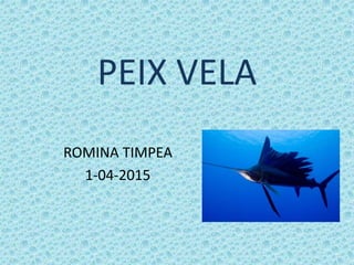 PEIX VELA
ROMINA TIMPEA
1-04-2015
 