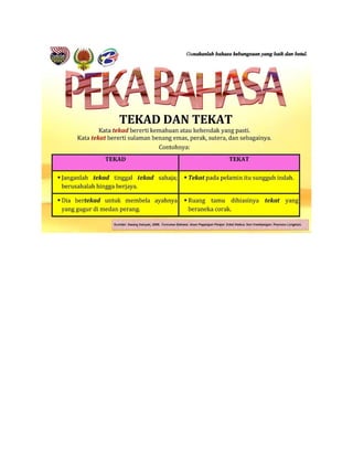 Peka bahasa