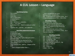 35
A CLIL Lesson – Language
Identifying/naming
• This is a/the …
• That is a …
• That’s the …
• This is called a/the …
• It comes from a …
• It’s from a …
• The … structure is called the …
• The … … are called ….
• At the top of the … there is a (adj) part called
the ….
• Together, the … and the … are called the ….
Describing appearance/structure
• It looks like …
• It’s got/hasn’t got …
• It has/doesn’t have …
• All … have …, a …, and ….
• The … are the often highly (adj) parts which …
(function verb).
• They are (adj) and are attached to the ….
• The … are arranged in a ring around the
centre of the ...
• They consist of a ..with a .. shape at the
end.
• … and is shaped rather like a ….
• … and is divided into two parts.
• The top of the … is called the ….
• The .. is attached to the bottom of the .. by a
• A long tube grows out of the …, this is the ..
Describing location
• It is found in the … of the …
• The … are found at the base of the ….
• They are (adj.) and are attached to the ….
• The … are arranged in a ring around the
centre of the ….
• The … is found in the centre of the …,
• The .. is attached to the bottom of the .. by a
• They are inside the ….
Describing function
• The … is the part which …
• The … is where … is carried out
• The … is used for …-ing
• The … has the role of …-ing
• The carries out the function of …-ing
• The … has a …-ing role
• The … is a …
• The …’s job is to …
• It does … the …-ing
 