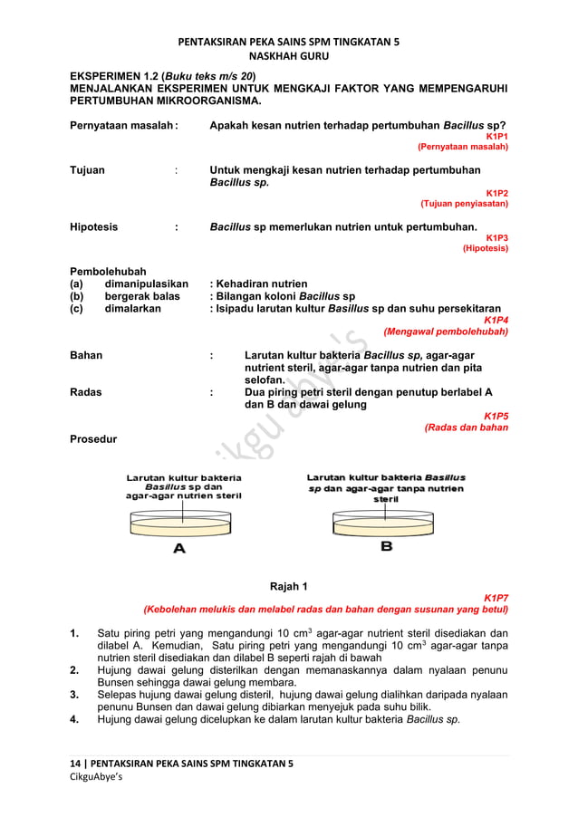 peka sains t5 tugasan.pdf
