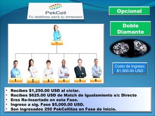 • Recibes $1,250.00 USD al ciclar.
• Recibes $625.00 USD de Match de Igualamiento x/c Directo
• Eres Re-Insertado en esta Fase.
• Ingreso a sig. Fase $5,000.00 USD.
• Son ingresados 250 PekCellitos en Fase de Inicio.
Costo de Ingreso:
$1,500.00 USD
Opcional
Doble
Diamante
 