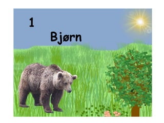 1 Bjørn 